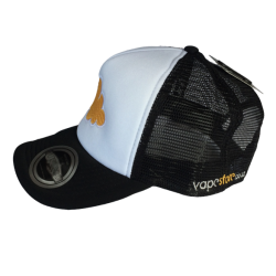 Vape Store Cap