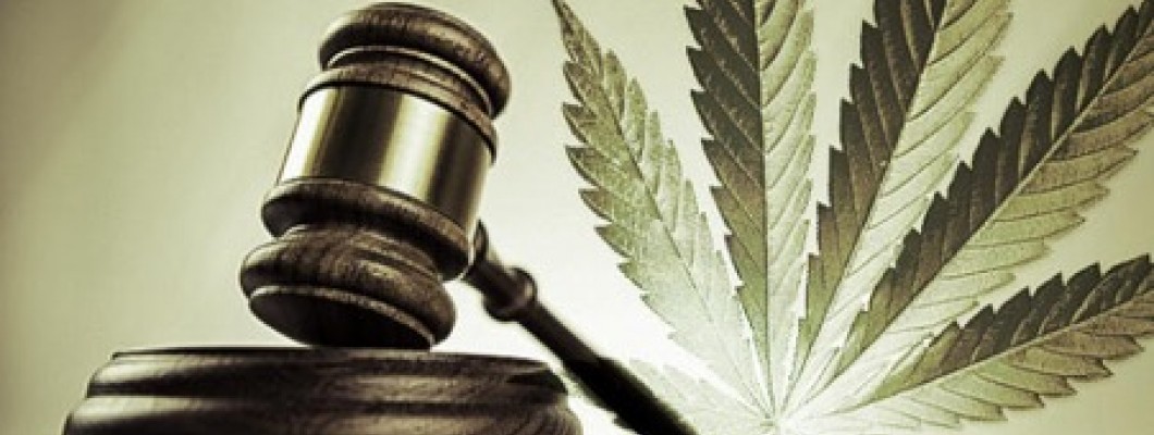 The Legalisation of Weed in SA and What It Actually Means
