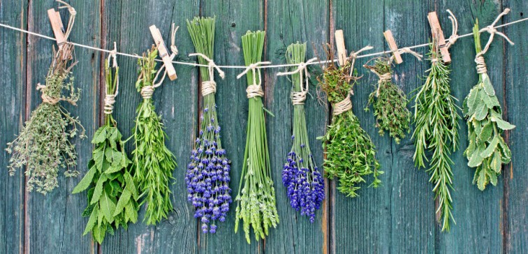 herbs-vaporization