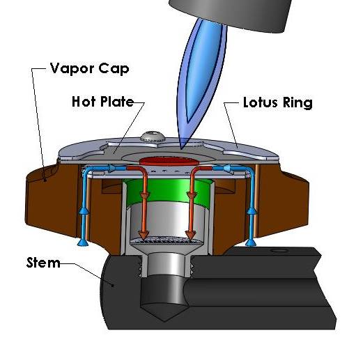 lotus-cutaway